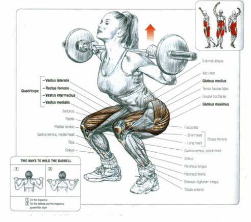 Woman Back Squatting